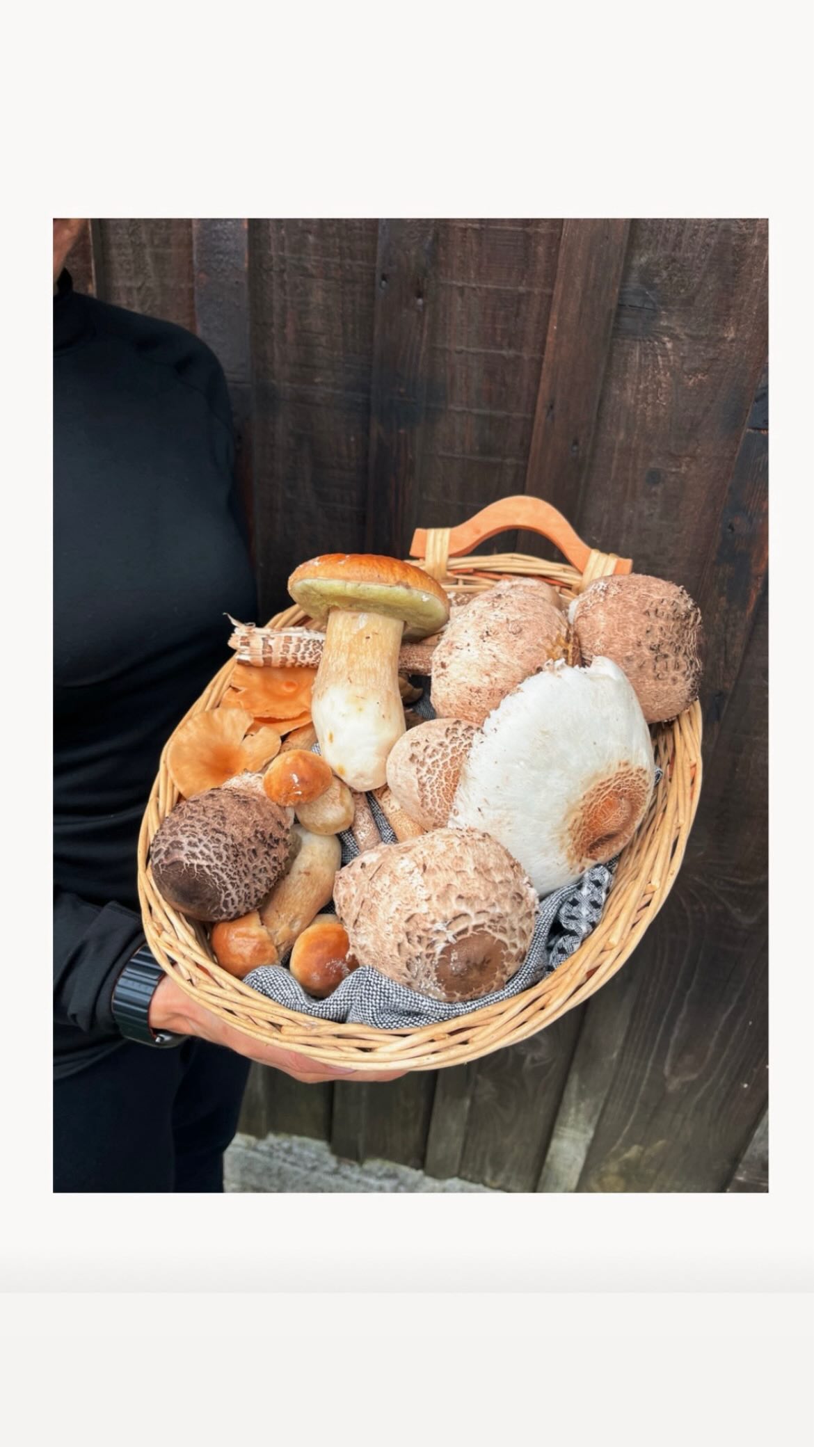 A walk after the rain, baskets full of porcini and ombrelloni, a few cows watching us pass ๐โฆand back home, Nonno pan-roasted (almost) all the mushrooms with olive oil and garlic.
#italianfoodblogger #calmfluencer #myitalianflavors #slowlivingforlife #tasteofhome #italianrecipes #italyโค๏ธ #simplelife #easyrecipeideas #italianfoodbloggers #italianfoodlovers #slowliving_ #italianfoodphotography #italianfoodie #italianfoodandwine #italyfood #italiancuisine #food52community #food52 #oggicucinoio#thefeedfeed #savingroomfordessert #thebakedfeed #buzzfeed